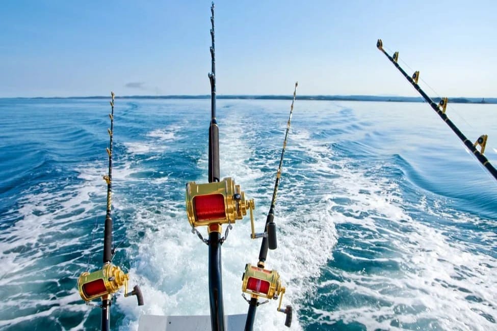 Deep Sea Fishing Dubai | Deep Sea Fishing Trips Dubai Marina